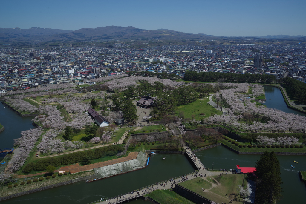 五稜郭公園  