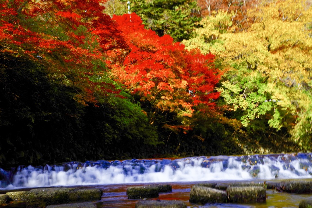 八瀬比叡山 川のほとり