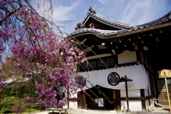 養源院