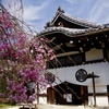 養源院