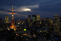 東京ナイトビュー