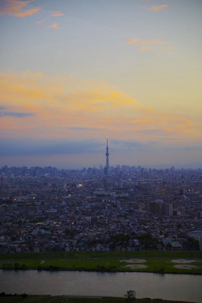 アイ・リンクタウン市川からの眺め