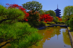 東寺 