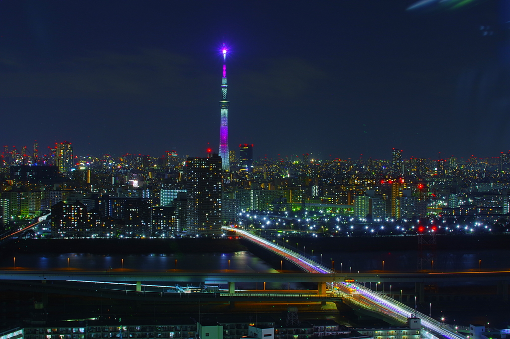 タワーホール船堀からの眺め