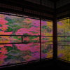 久しぶりの瑠璃光院
