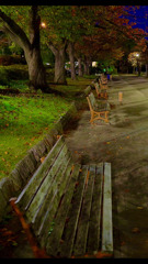 AUTUMN NIGHT IN THE PARK