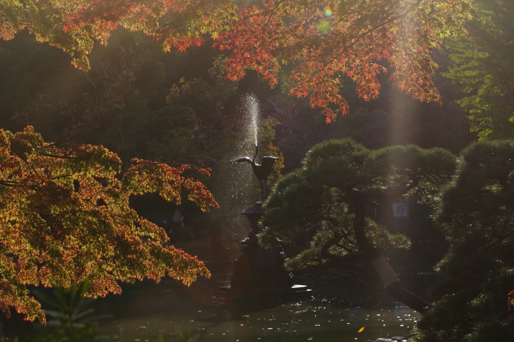 日比谷公園の紅葉