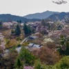 吉野山 花見展望台