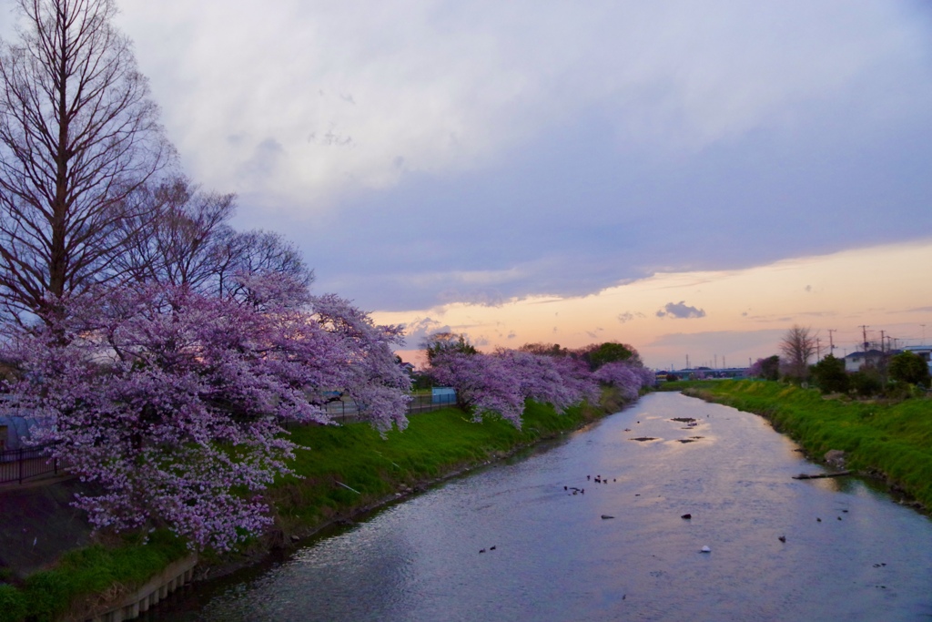 とある橋からの夕景