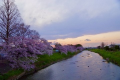 とある橋からの夕景