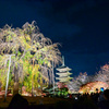 東寺ライトアップ