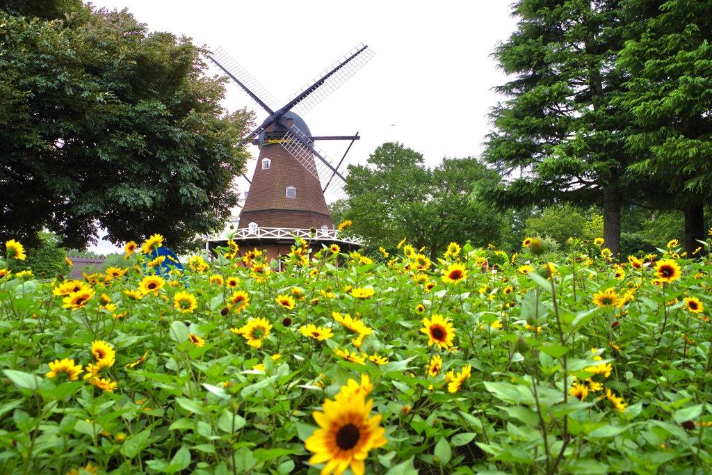 船橋アンデルセン公園