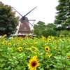 船橋アンデルセン公園