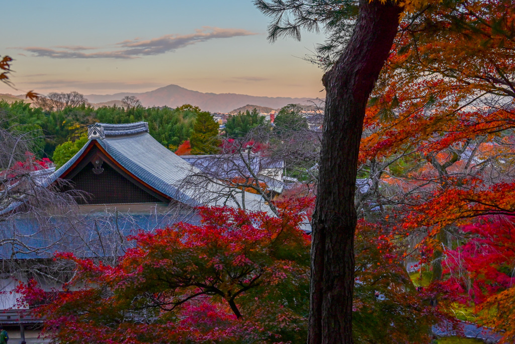 天龍寺の夕暮れ