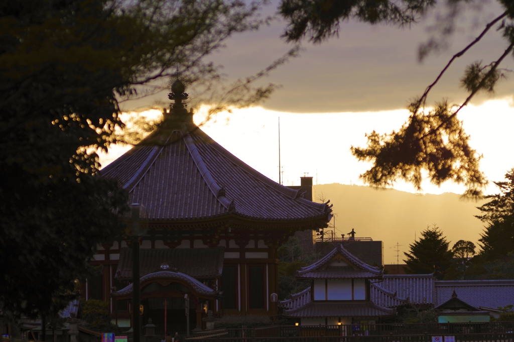 奈良の夕景
