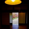 秋覗く