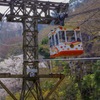 吉野山ゴンドラ復活！