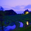 棚田ある風景