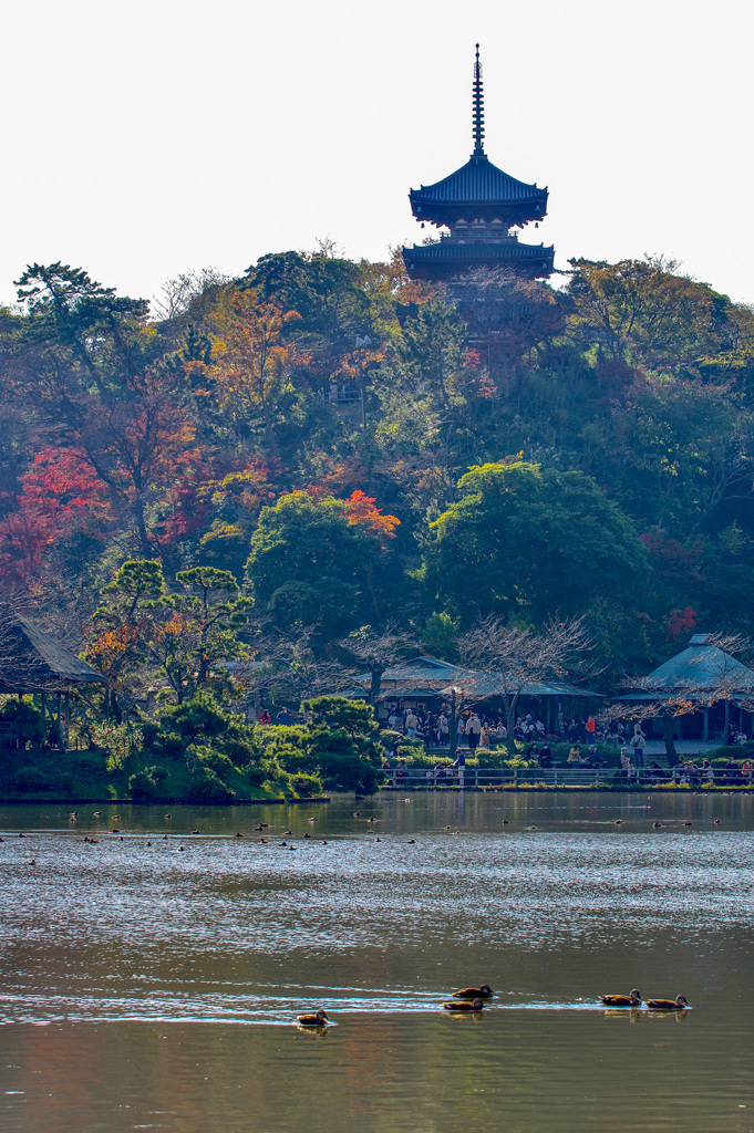 三渓園