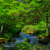 summer green