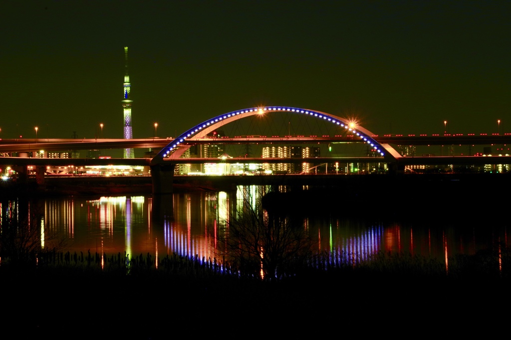 スカイツリーと扇大橋