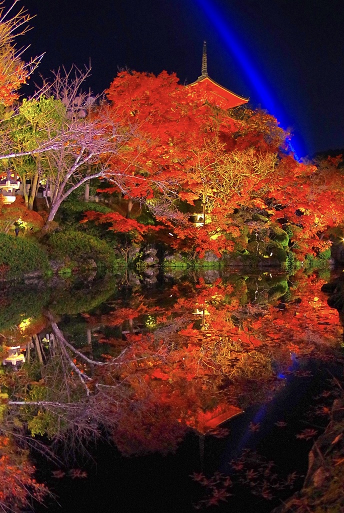 清水寺リフレクション