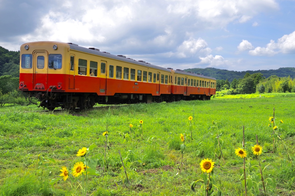 小湊鉄道とひまわり