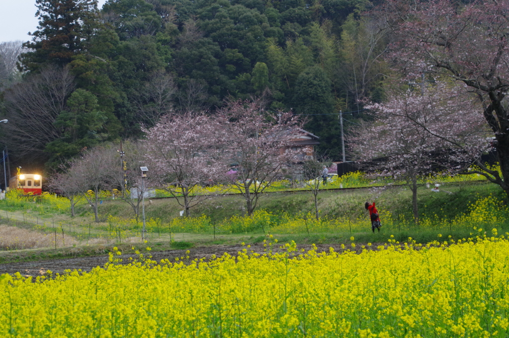 赤いドレスの女
