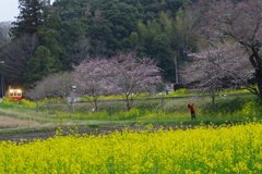 赤いドレスの女