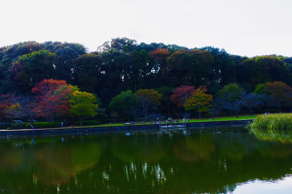 21世紀の森公園にて