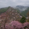 吉野山　雨霧に包まれて