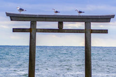 鳥居オンステージ