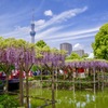 令和元年もよろしくお願いします。