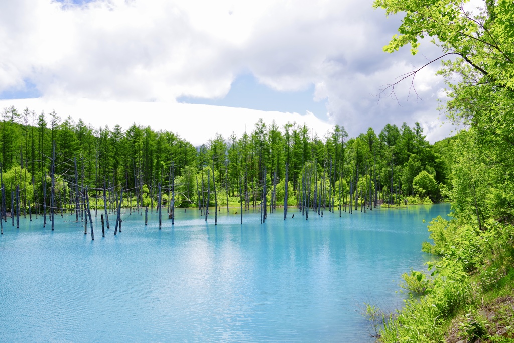 blue pond