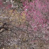 春三原色