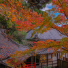 楊谷寺の紅葉