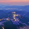 吉野山マジックアワー