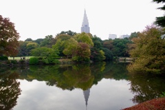 湖面に写り込む携帯電話の塔