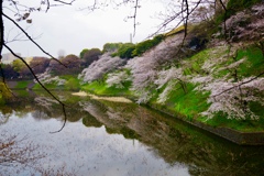 千鳥ヶ淵リフレクション