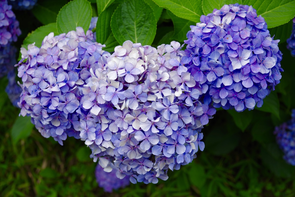 隠れミッキー見つけた