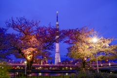 隅田公園