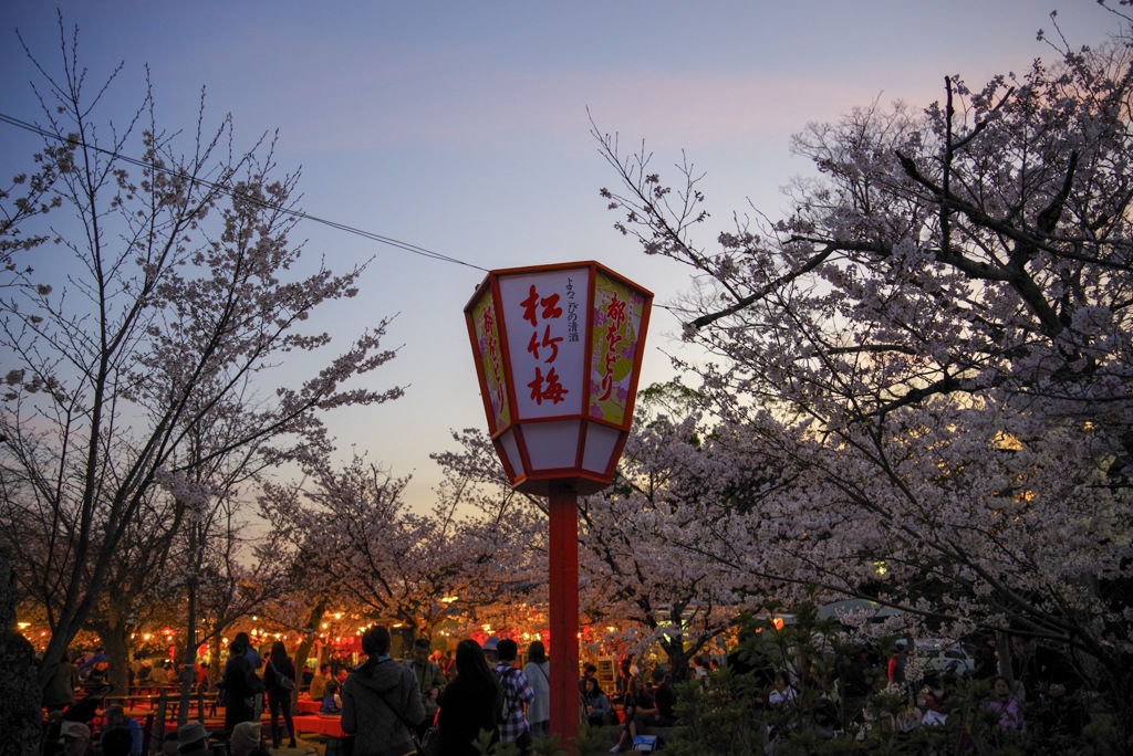 夕暮れ花見 