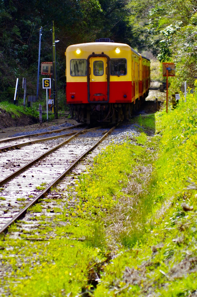 小湊鉄道〜もうすぐ春に到着