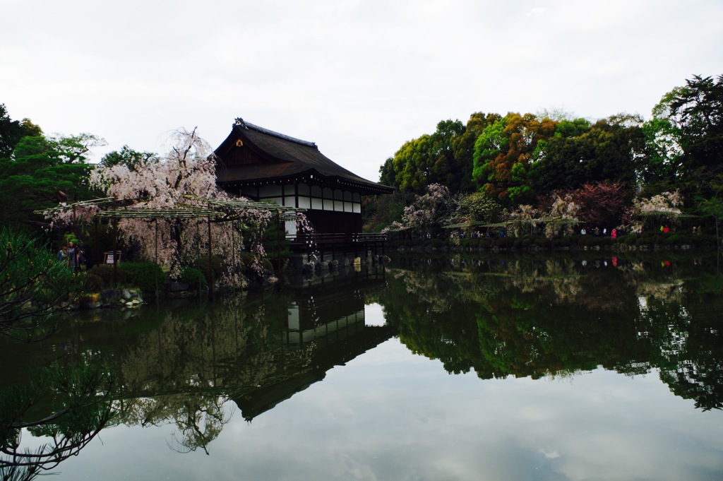 reflection of japanese beauty