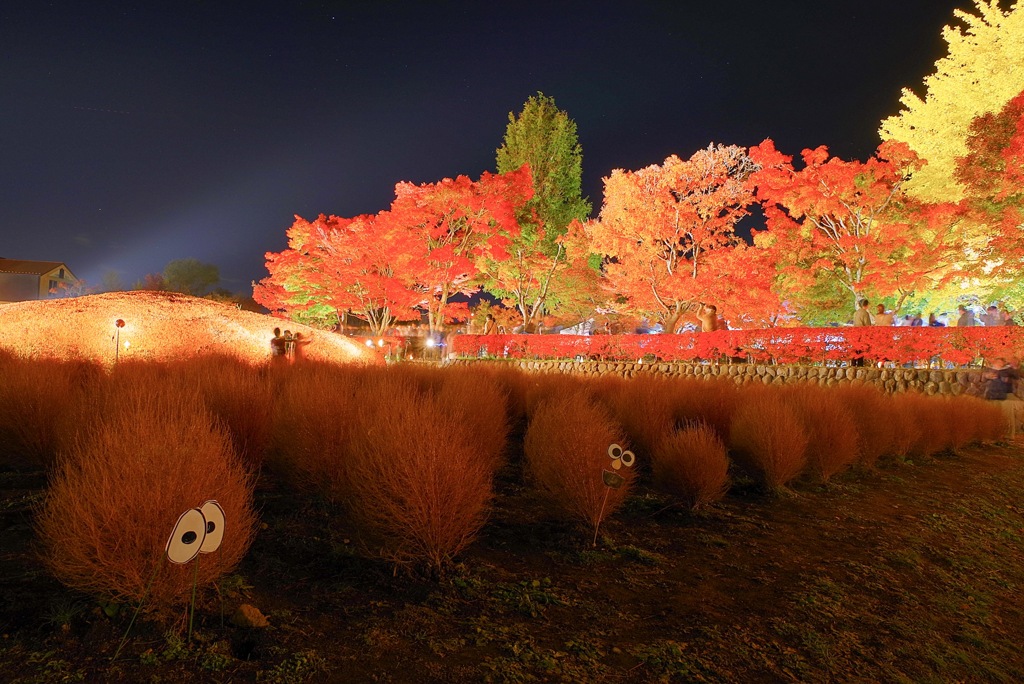 河口湖 紅葉まつり