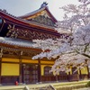南禅寺にて