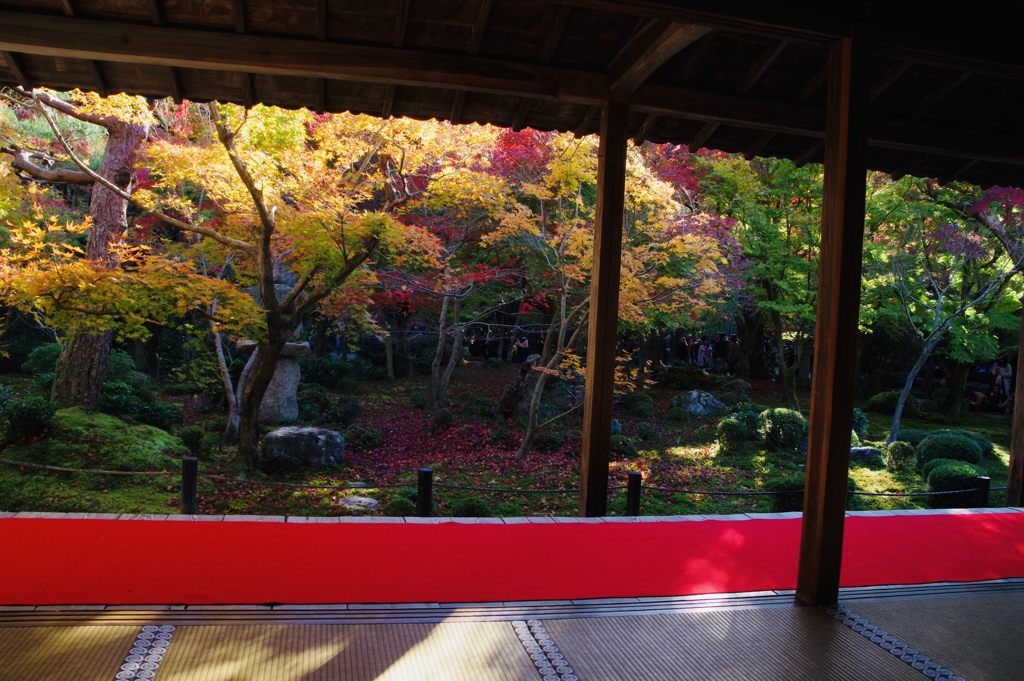 圓光寺