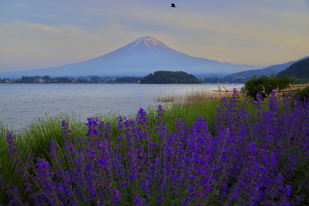 大石公園の夕暮れ時