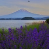 大石公園の夕暮れ時