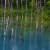 青い池